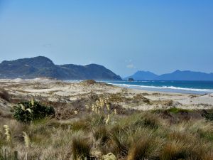 Tara Iti North Beach